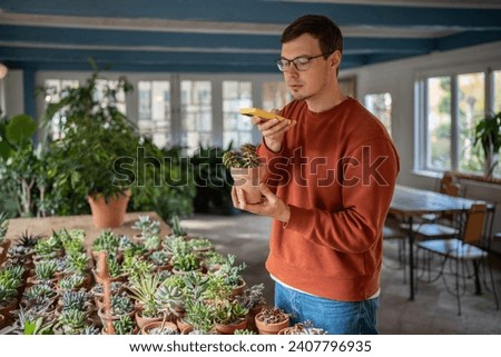 Young man taking picture photo of potted plants in floral shop market on smartphone. Interested guy plant lover choosing flowers for home sharing photos with family. Planting hobby concept