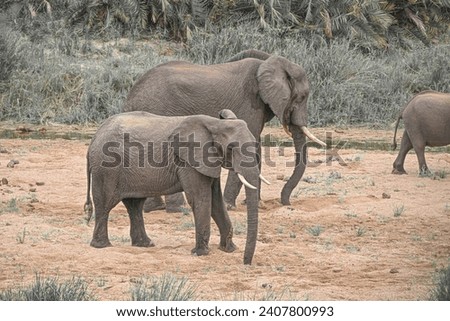 Amazing wildlife photos taken in the Kruger National Park in South Africa.
