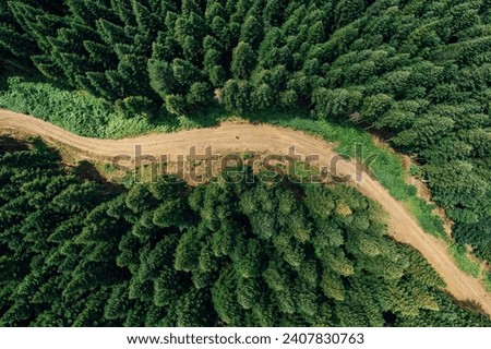 Aerial drone view of dirt road passing through green and large trees Royalty-Free Stock Photo #2407830763