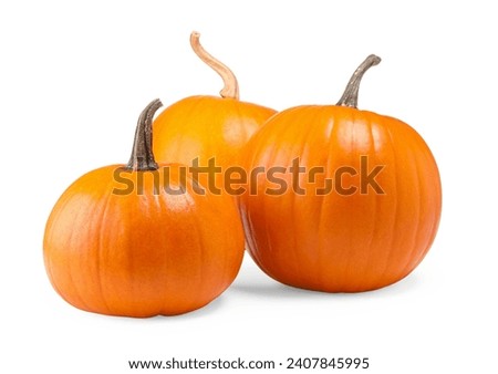 Many fresh orange pumpkins isolated on white