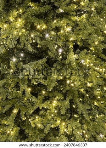 This is christmas tree. I want to take a picture very close.