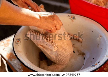 Chopping the goose meat. macro shoot