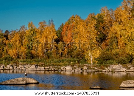 A rocky riverbank with a forest on an autumn day.