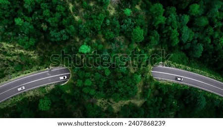 Wildlife Corridor near a forest in Spain