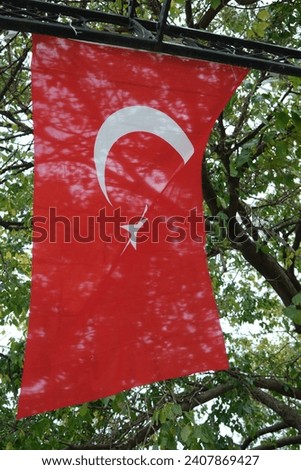 turkish flag with trees look great 