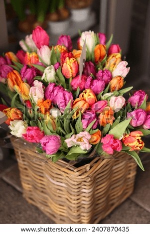 Large  basket with beautiful tulips. Large bouquet of multi-colored terry tulips. Spring flowers. Decoration of a flower shop.
