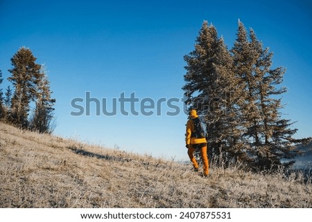 Hiking in the forest, trekking in the mountains alone, cold weather, guy walking on the road, vacation in the mountains. High quality photo