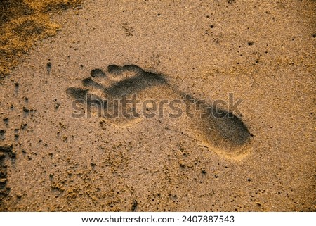 human footprints in the clear beach sand Royalty-Free Stock Photo #2407887543