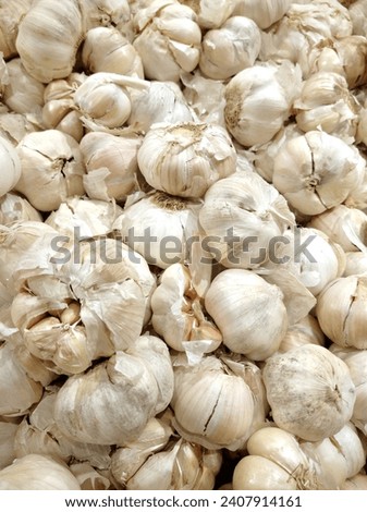 White garlic pile texture. Fresh garlic on market table closeup photo. Vitamin healthy food spice image. Spicy cooking ingredient picture. Pile of white garlic heads. White garlic head heap top view

