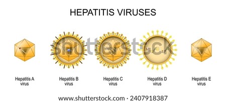 Structure and anatomy of virions of five known human hepatitis viruses: A, B, C, D, and E.  Set icons. Inflammation of the liver caused by infection with the hepatitis virus. Vector illustration Royalty-Free Stock Photo #2407918387