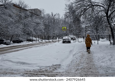 Photo an urban landscape in winter, a road, a footpath and a woman with a dog.