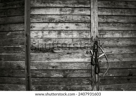 Horses bridles on a wall in a black and white picture