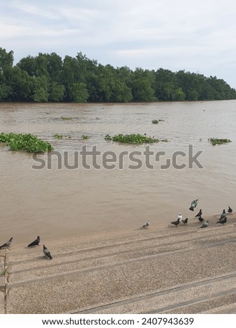 Picture of a river with a bright blue sky Royalty-Free Stock Photo #2407943639