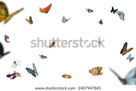 Captivating Butterflies: Vibrant Colors, Isolated on White Background. Explore Stunning Butterfly Overlays for Creative Design