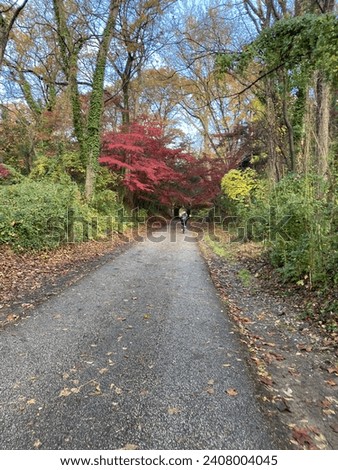 Walking the Capital Crescent Trail in Bethesda, Maryland in fall