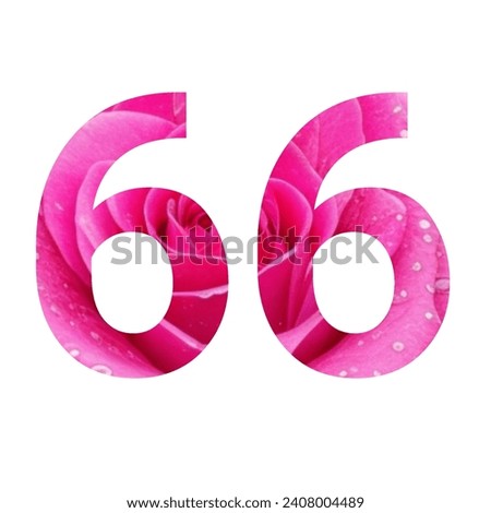 esthetic sixty six roses icon sign 