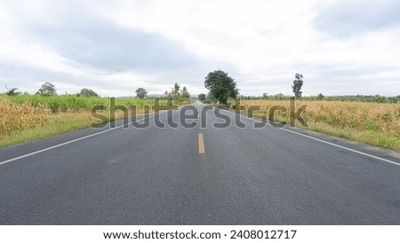 Newly built road with 2 lanes going in opposite directions in the countryside. There is a lane for bicycles. For safety in using the road On both sides of the road are farmers' corn fields.  Royalty-Free Stock Photo #2408012717