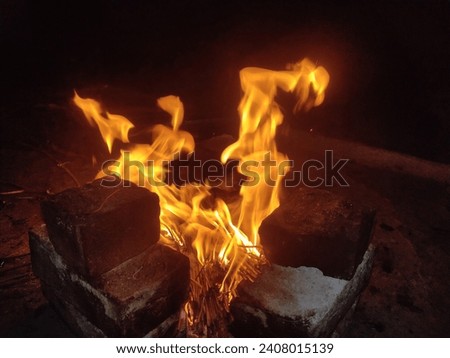 picture of flames emerging out of a burning wood in dark