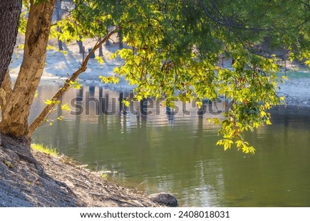a beautiful summer landscape at Puddingstone Lake with green water surrounded by lush green trees, grass and plants in San Dimas California USA Royalty-Free Stock Photo #2408018031