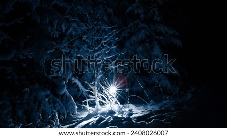 winter night with flash light