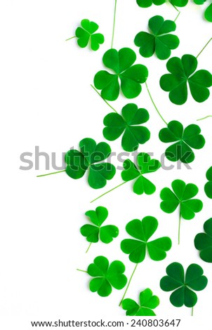 Bear Clover Leaf Green of a St. Patrick's Day Background