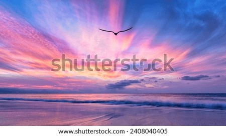 A Soaring Inspirational Bird Silhouette Flying Above A Colorful Ocean Sunset Royalty-Free Stock Photo #2408040405