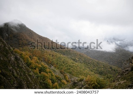 cloudy landscape with autumn colors
