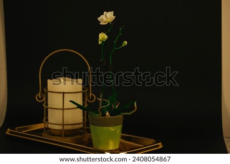 Still life with white orchid flower, burning candle on a golden tray on black background. Spa, relax indoors. Beautiful home decor. Beauty flower.