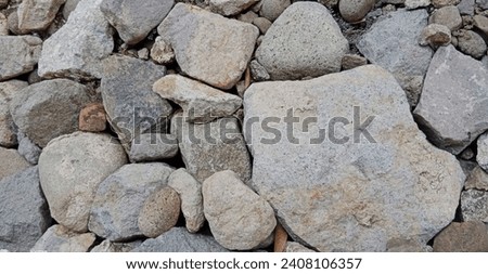 This is a picture of coral stones in the yard during the day
