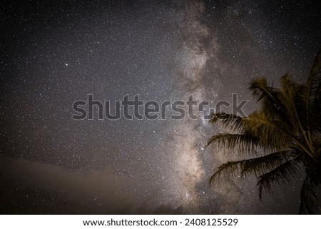 Starry Night with the Milky way in the Palm Trees. 
Natural composition. Spring or summertime idea backgrounds or wallpapers. Organically taken photo with little to no editing.