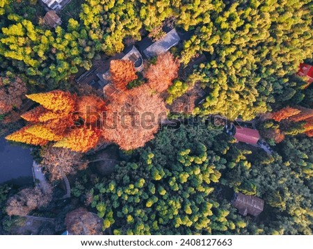 Aerial photography of the beautiful autumn in Mogan Mountain