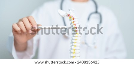 Doctor with human Spine anatomy model. Spinal Cord Disorder and disease, Back pain, Lumbar, Sacral pelvis, Cervical neck, Thoracic, Coccyx, Orthopedist, chiropractic, Office Syndrome and health Royalty-Free Stock Photo #2408136425