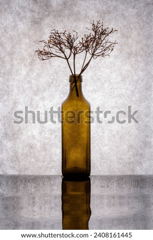 Still life with colored glass bottles and plant twigs