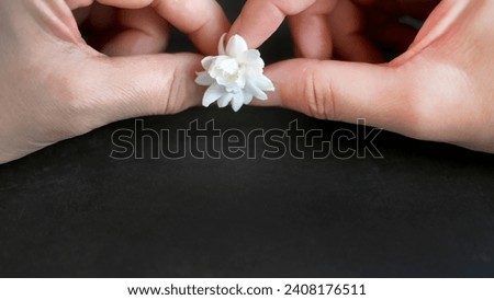 Two female hands holding a single white jasmine flower on dark background with copy space for text, advertising, business concept, jewery