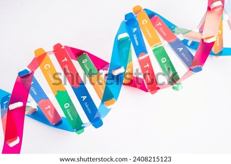 DNA or Deoxyribonucleic acid is a double helix chains structure formed by base pairs attached to a sugar phosphate backbone. Royalty-Free Stock Photo #2408215123