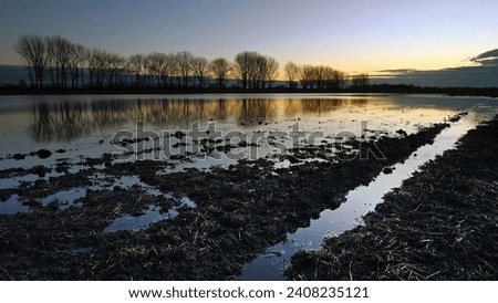 Flooded ploughed field with trees in the background at dawn in winter in widescreen format Royalty-Free Stock Photo #2408235121