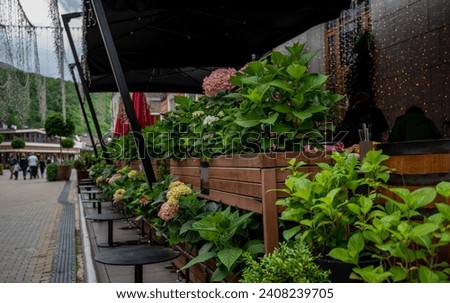 An inviting outdoor cafe terrace is adorned with verdant planters rich in hydrangeas and greenery under a canopy of fairy lights, offering a serene retreat in a lively pedestrian area.