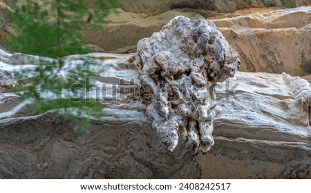 Close-up photo of an eroded and layered rock in nature.