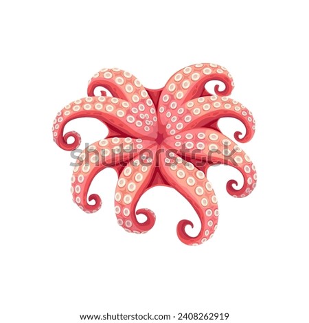 Octopus, cartoon seafood, sea food cuisine and cooking product, isolated vector. Raw or cooked whole octopus for seafood delicatessen dish, sushi bar menu or fish market product package