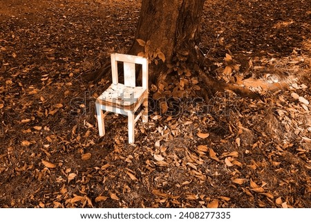 Orange autumn scene, lonely chair at the tree trunk, the ground full of fallen leaves, natural background, orange photography