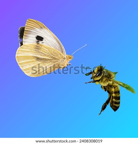 A butterfly and a bee
