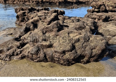 Rock formations on low tide, Las Canteras Beach, Las Palmas, Gran Canaria, Spain. Royalty-Free Stock Photo #2408312565