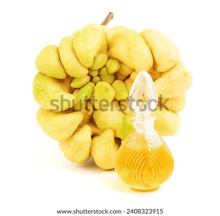 Buddha’s fingers or citrus medica fruit and essential oil isolated on white background.