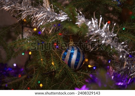 Blue striped ball on green branches of a Christmas tree.