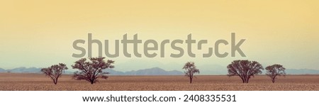 Panoramic landscape of Africa, desert with silhouettes of mountains in golden sunset, Namibia. Skyline with trees and hills for banner background. Wildlife travelling and safari tours to Namib desert.