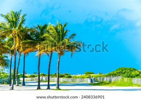 Discover tropical bliss with palm trees in Miami Beach! Sunny summer vibes captured in stock photos. Immerse in beach scenes from Crandon Park to Key Biscayne. Explore coconut palm trees along