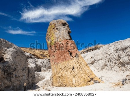 A fossilized tree trunk from the UNESCO Geopark "Petrified Forest of Sigri" on the island of Lesvos in Greece. Greece Lesbos fossil forest Royalty-Free Stock Photo #2408358027