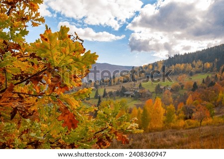 Oak branches on the background of a mountain autumn landscape