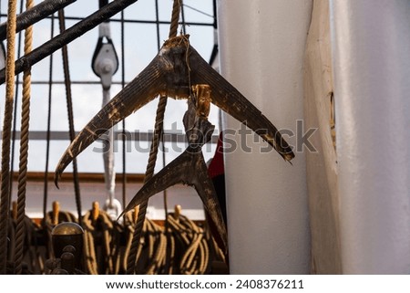Close up of a tuna tail fin hanging out to dry,  This picture was taken in a tall ship sailing the Caribbean.