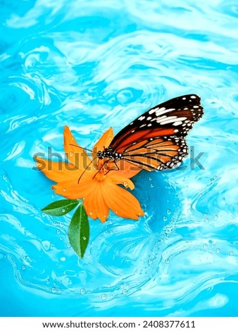 Butterfly and flower on blue water background. Copy space.